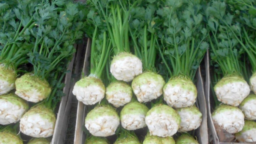 Mali posed, zarada solidna