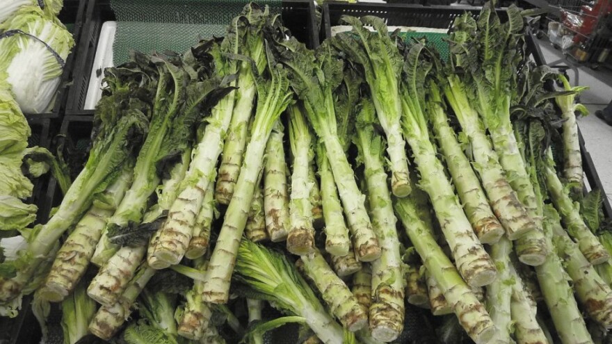 Mutant zelene salate - salata stablašica!