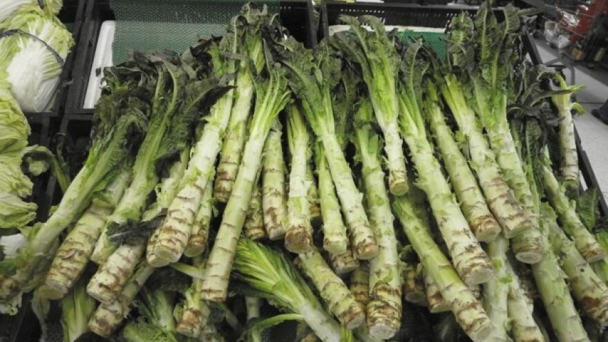 Mutant zelene salate - salata stablašica!