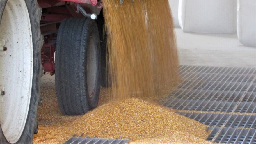 Produktna berza: Raste cena kukuruza