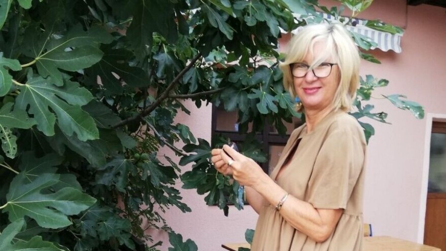 Kad se male ruke slože: voće, povrće i permakulturni vrt u Centru Tuškanac