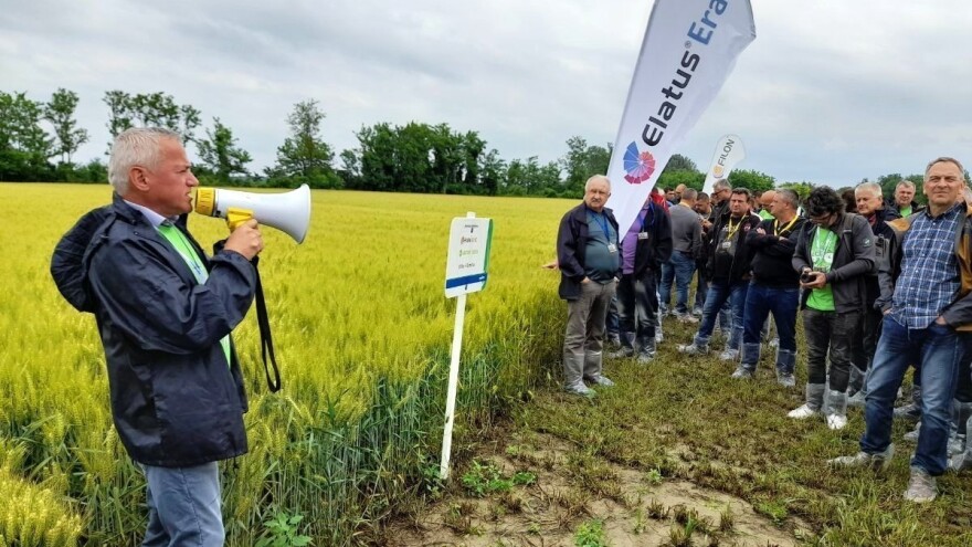 Syngenta predstavila nove sorte pšenice i zaštitna sredstva