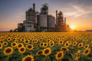Čepinska Tvornica ulja prodaje se za jednu kunu