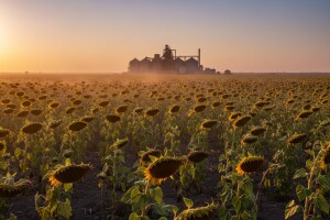 Čepinska uljara put prema privatizaciji