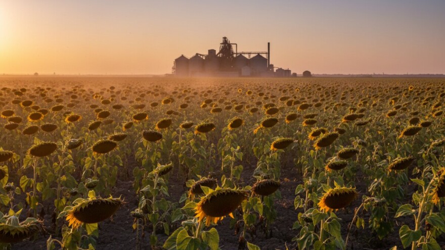 Čepinska uljara put prema privatizaciji