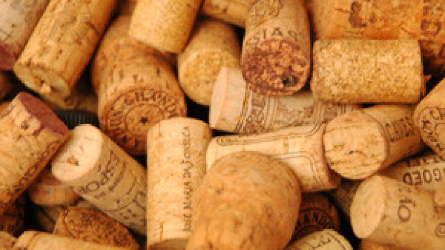 5. Festival vina i kulinarstva