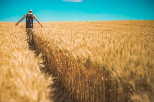 Dodatnih 43 milijuna kuna za osiguranje usjeva, životinja i biljaka