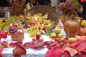 Razmjena plemki i sjemenja starih sorti i ove godine u Cerniku