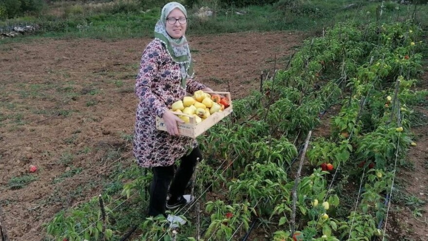 Cero Čorbadžić: Sigurnog otkupa nema, ali sve što uzgojimo i prodamo