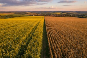 Češka poljoprivreda u plusu 580 milijuna eura