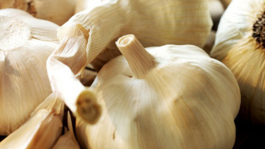 Fešta od češnjaka u Ljubitovici