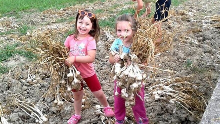 Do domaćeg češnjaka telefonom ili mailom