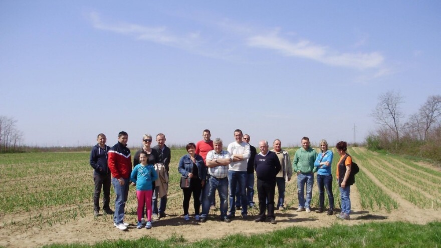 Što su sada češnjak i krumpir ako nisu povrće?