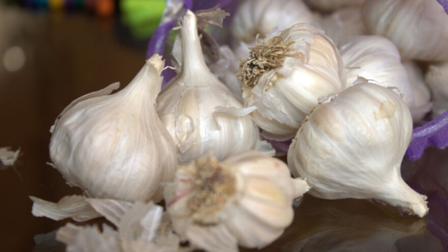 Mali savjeti za uspješnu sadnju bijelog luka