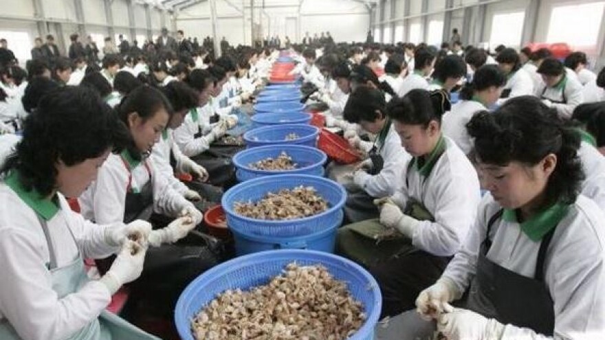 Zašto smo ovisni o jeftinom uvozu?