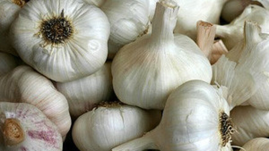 14 tona češnjaka za domaće tržište