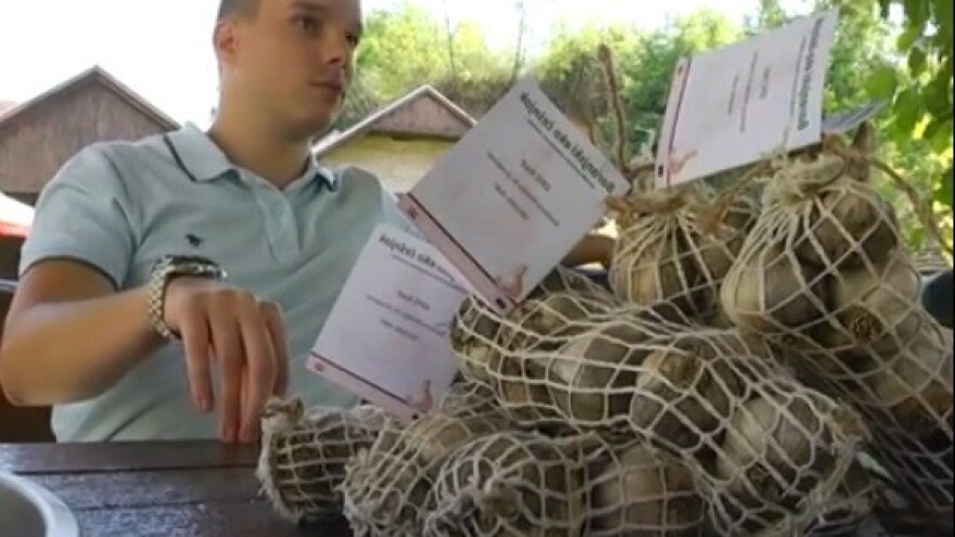 Mlade nade poljoprivrede - baranjski eko češnjak!