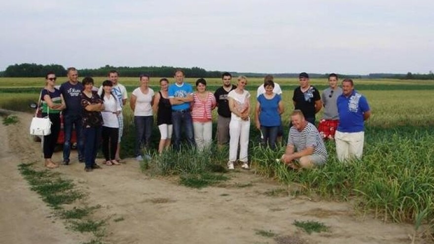 Prva proizvođačka grupa češnjaka!