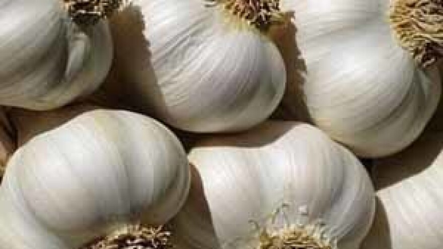 Domaćim češnjakom protiv bolesti modernog doba