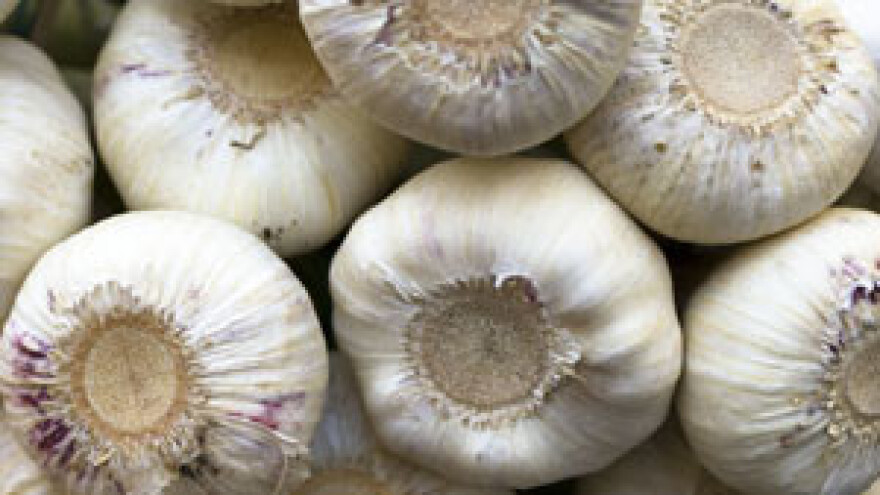 Biodinamičko povrćarstvo