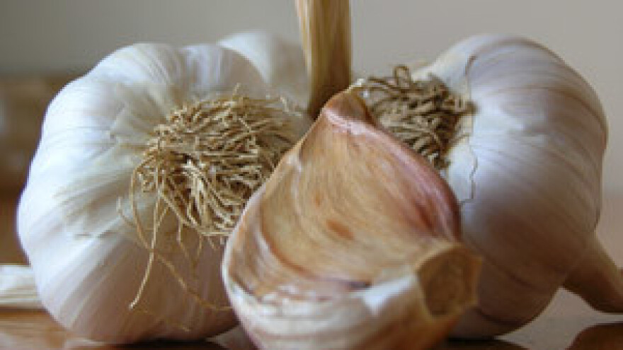 Kineski bijeli luk istisnuo domaći