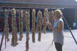 Primopredaja sadnog materijala u Ceriću!