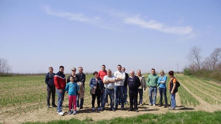 Napreduju uzgajivači češnjaka!