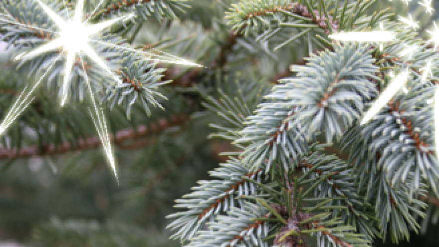 Čestit i blagoslovljen Božić