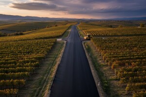 Cestu do Čobankovićeva vinograda gradio HV?