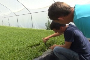 Održavanje obiteljske tradicije bavljenja poljoprivredom