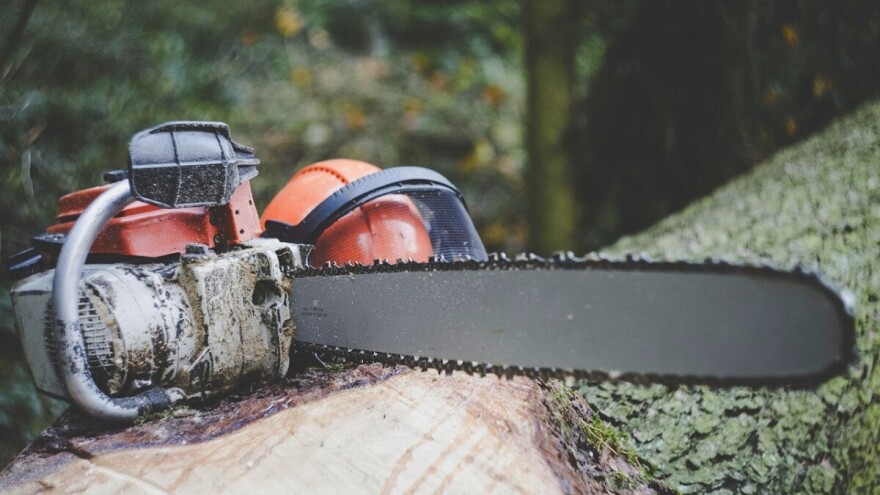 "Sječa" direktora u Šumama Srpske - smijenjeno četvero direktora