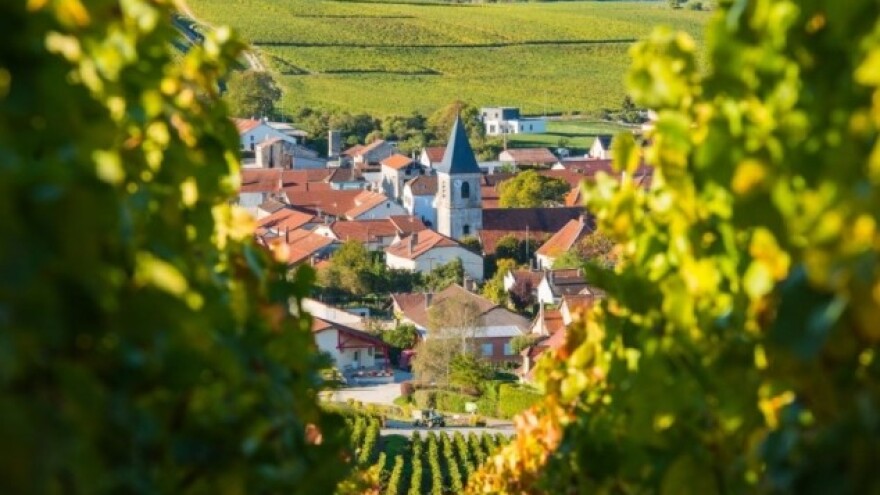 Mraz ugrozio proizvodnju vina u Francuskoj