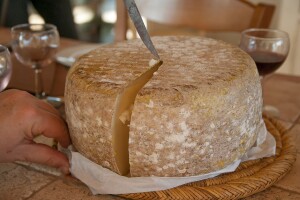 Stočari se udružili, prijavili i sad grade siranu vrijednu 3,2 milijuna kuna!
