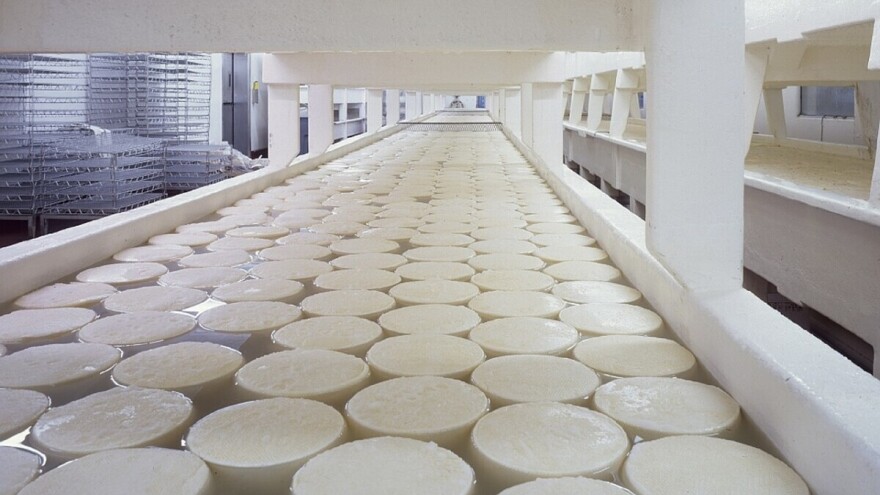 Čak 2/3 mlijeka koje se proizvede u Europskoj uniji koristi se za preradu u sir i maslac