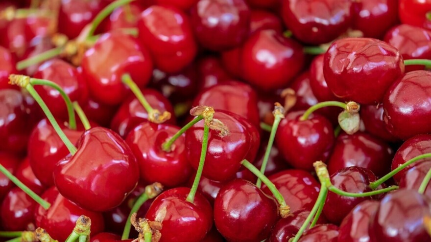 U BiH zabranjen uvoz 11.250 kg višnje iz Hrvatske