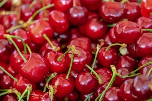 Zabranjen uvoz 11.250 kg višnje iz Hrvatske
