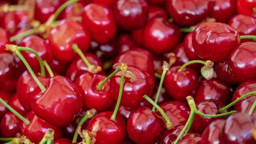 Zabranjen uvoz 11.250 kg višnje iz Hrvatske