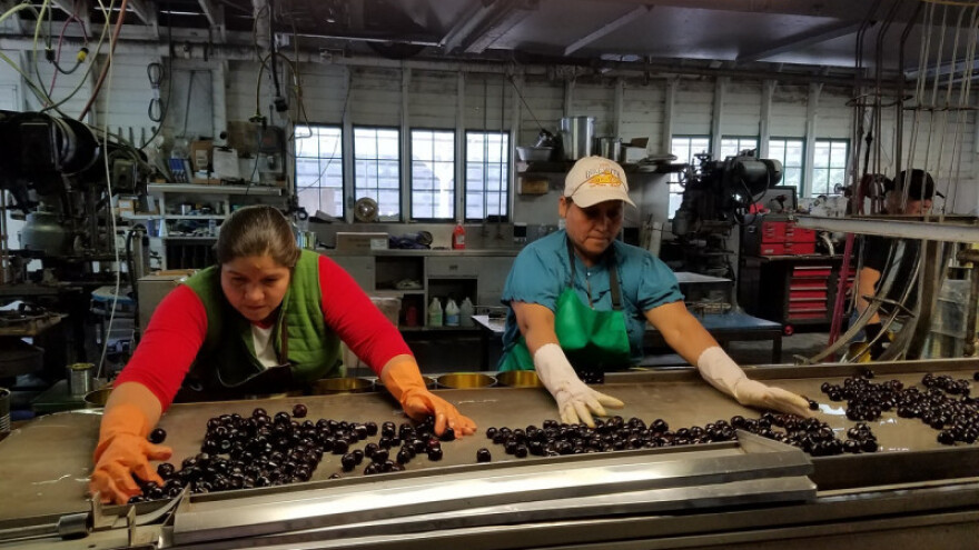 Ulažu 2,1 milijuna kuna u proizvodnju voća