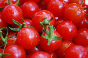 Proizvodnja cherry rajčica