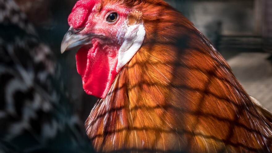 Odobrili 117.348 KM za podsticaje poljoprivrednim proizvođačima