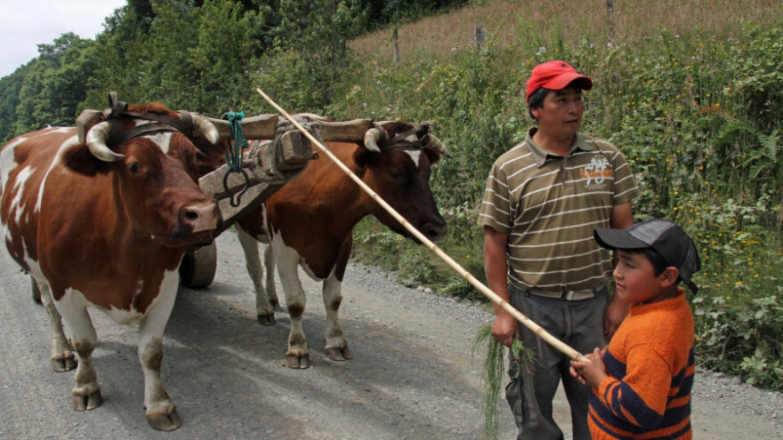 EU i Čile će trgovati organskom hranom