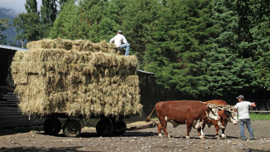 Proizvođačkim organizacijama 8,8 milijuna eura