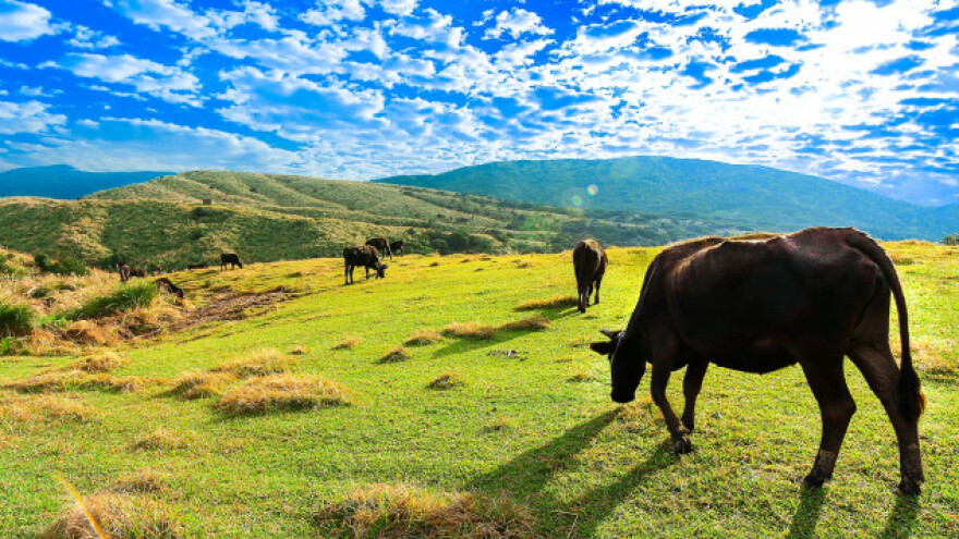 Tajvan uspio u agroturizmu, uspjet će i Hrvatska