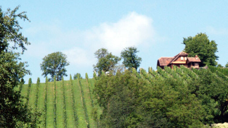 Trs je milenijima opstao, i dalje će