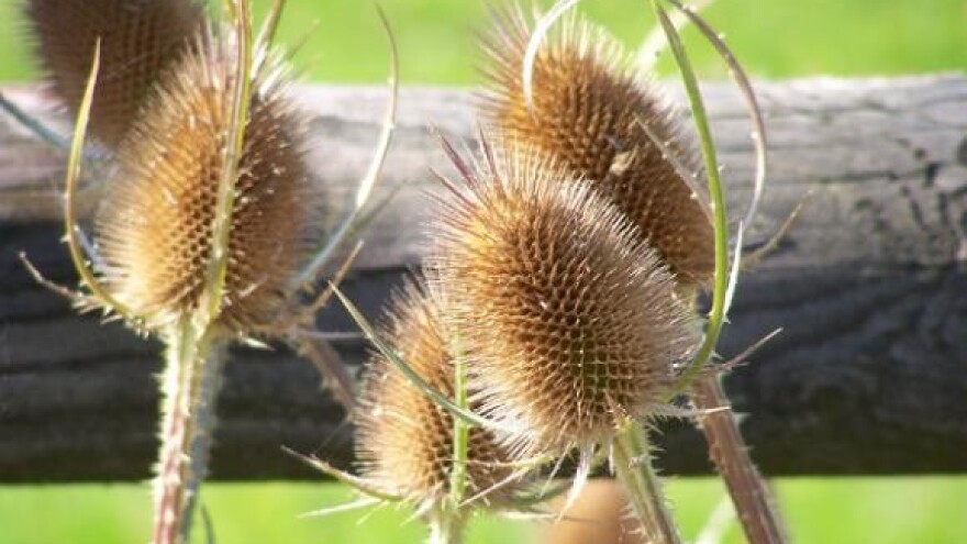 Osnovana udruga "Baranjska brazda"