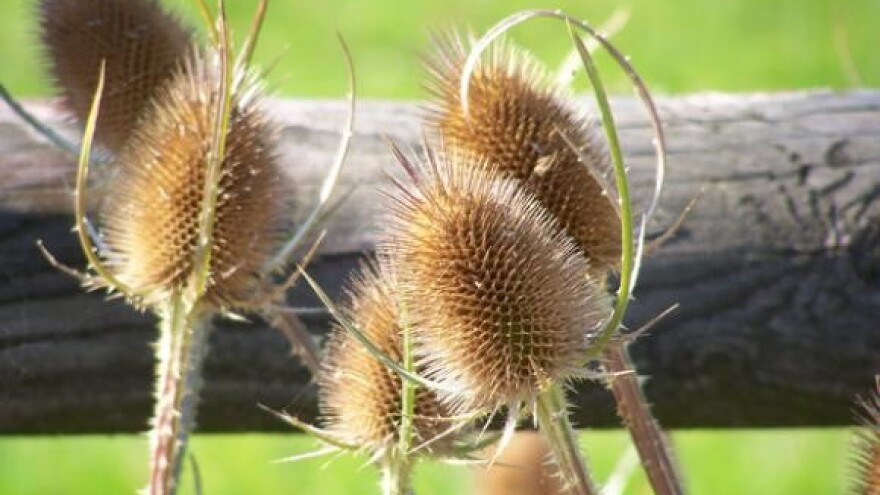 Samozatajni turistički dukat otvara vrata