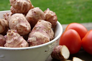 Čičoka - dobra i za ljude i za stoku