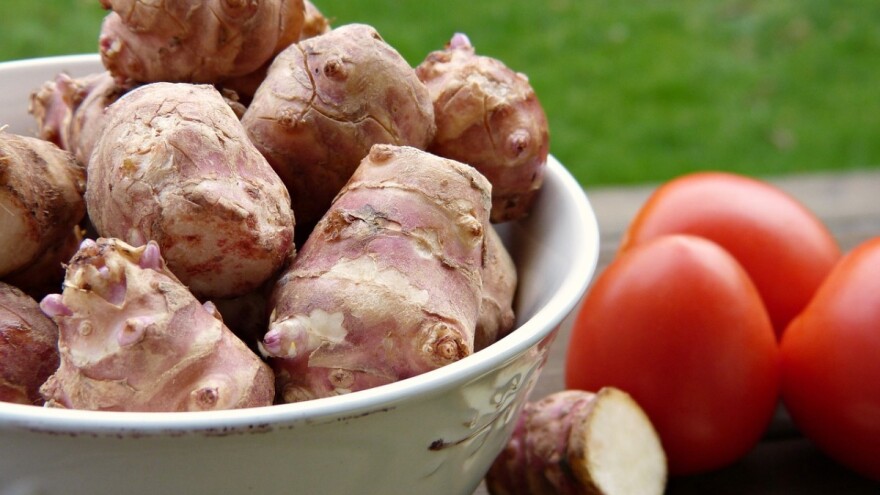 Čičoka - dobra i za ljude i za stoku