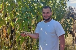 Ahmet Bulić: Čičoka je biljka neiskorištenog potencijala - i najbolje zamjenjuje krompir
