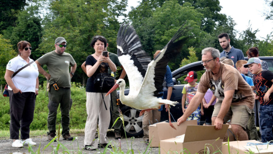 U Čigoču, prvom europskom selu roda, više je roda nego stanovnika!